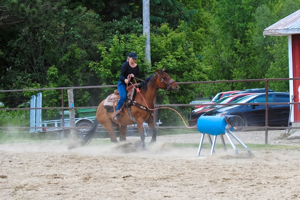 Crazy Horse Ranch | 318 QC-161, Saint-Christophe-dArthabaska, QC G6R 0M9, Canada | Phone: (819) 350-9296