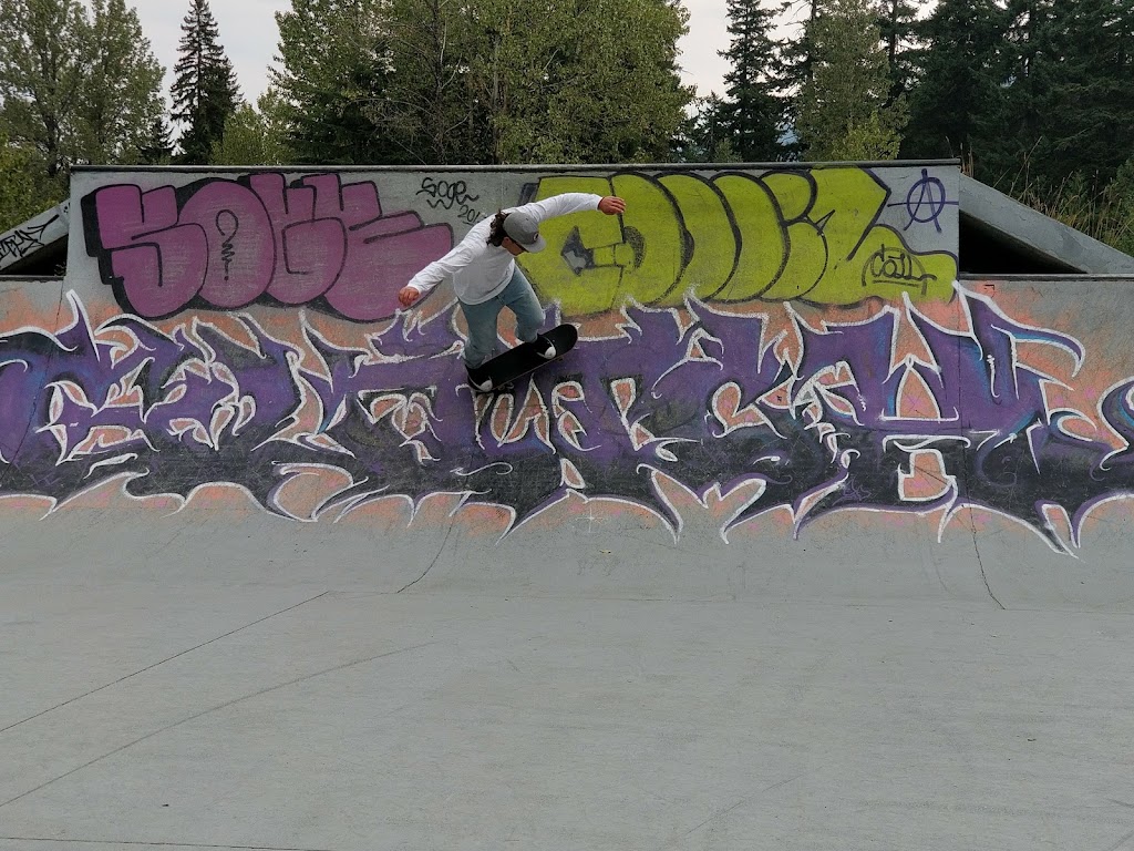 Whistler Skate Park | 4330 Blackcomb Way, Whistler, BC V0N 1B4, Canada | Phone: (604) 935-8189