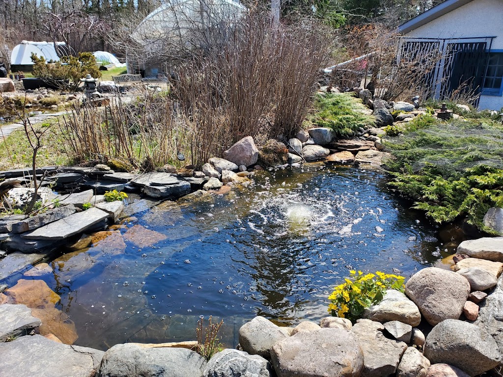 Aqualine Aquatic Plants & Waterfeatures | 23211 Township Rd 514, Sherwood Park, AB T8B 1L1, Canada | Phone: (780) 467-3450