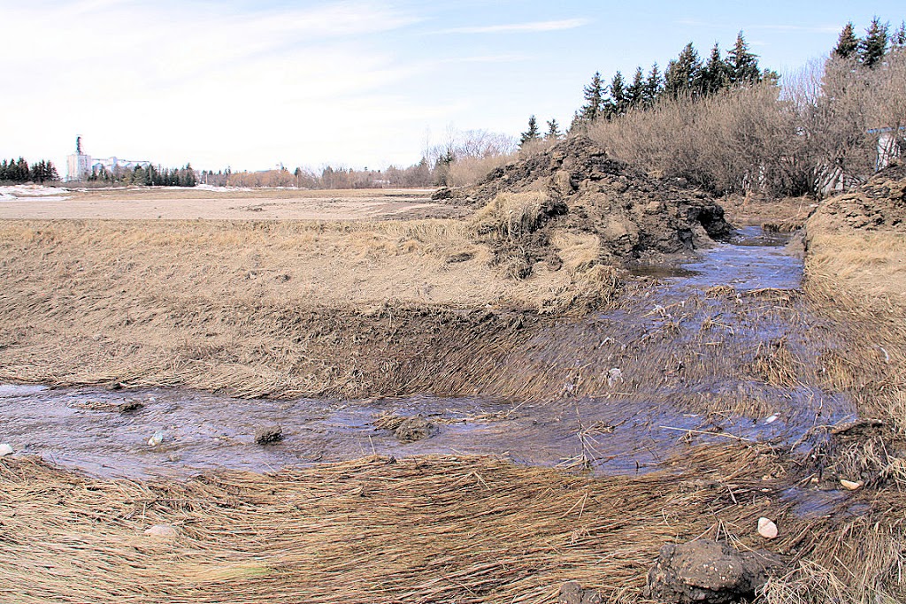 Rural Municipality Of Indian Head No 156 | 719 Grand Ave, Indian Head, SK S0G 2K0, Canada | Phone: (306) 695-3464