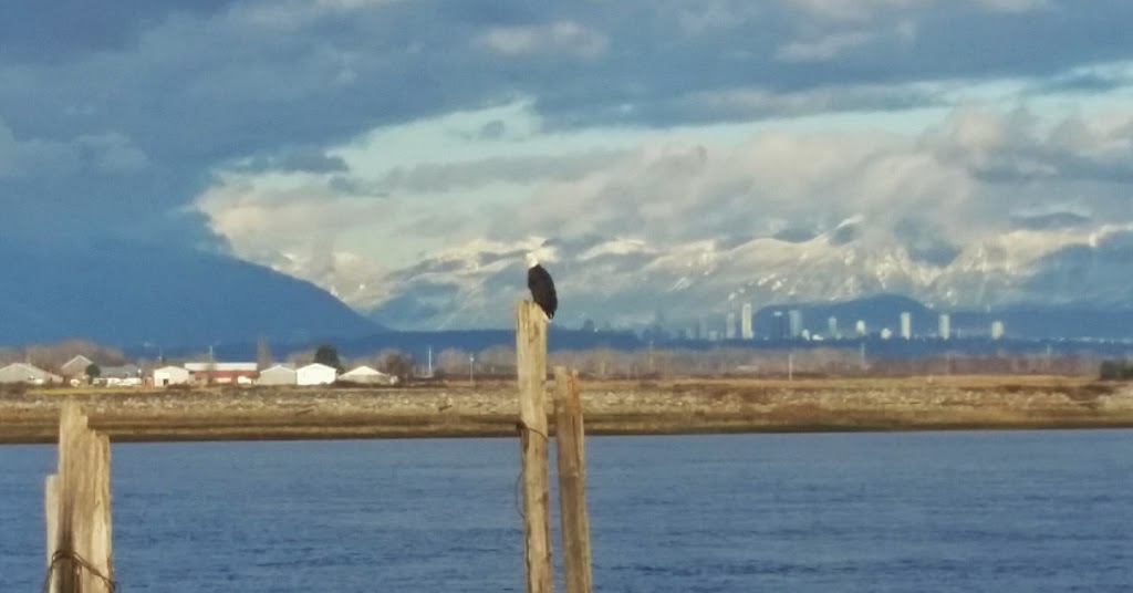 Brunswick Point | Delta, BC, Canada