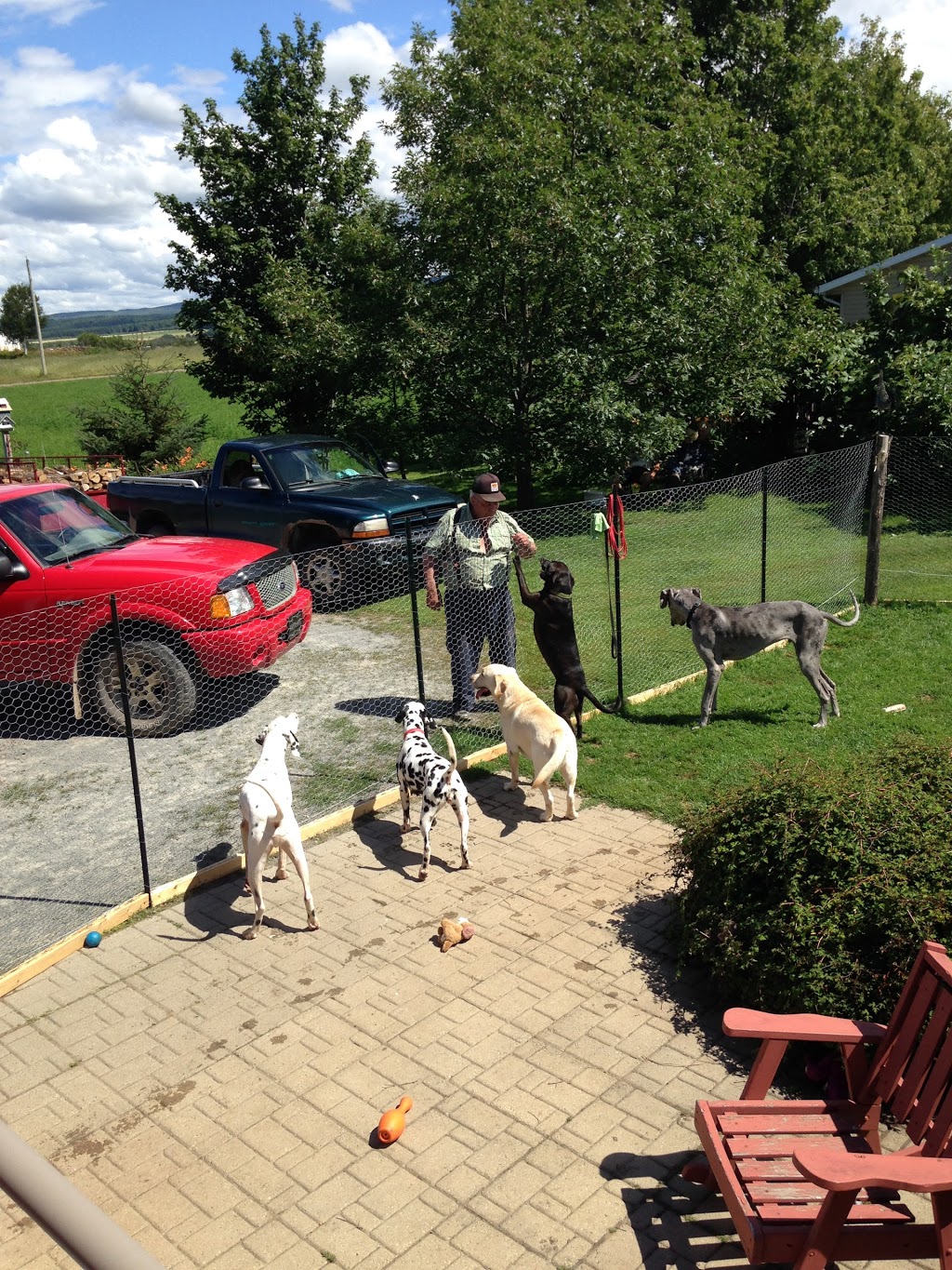 Gîte Canin chez Georges et Juliette | 418 Chemin Morin, LIslet, QC G0R 2B0, Canada | Phone: (418) 234-7320