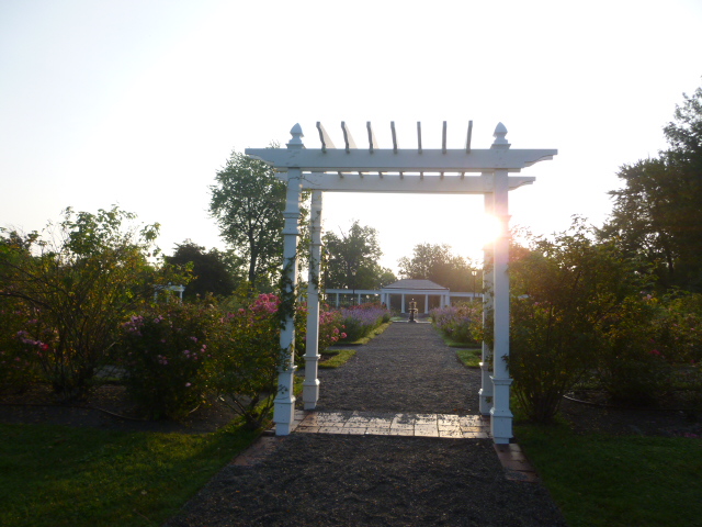 Delaware Park Rose Garden | 199 Lincoln Pkwy, Buffalo, NY 14222, USA | Phone: (716) 886-0088