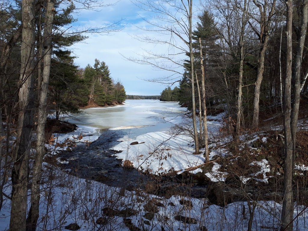 Depot Lakes Conservation Area and Campground | 1662 2nd Lake Rd, Verona, ON K0H 2W0, Canada | Phone: (613) 374-2940