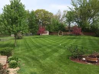 Weed Man Lawn Care | 82 Fleetwood Rd, Lindsay, ON K9V 6H4, Canada | Phone: (705) 324-8900