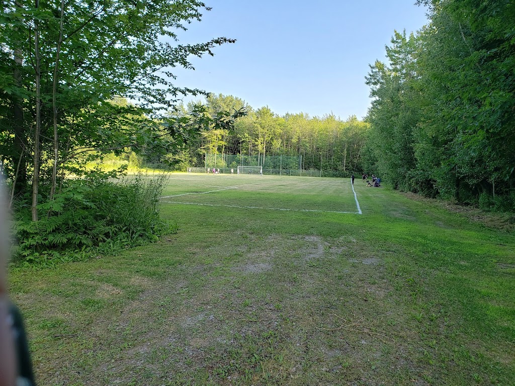 Parc des Rainettes | 1915 Bd Don-Quichotte, Notre-Dame-de-lÎle-Perrot, QC J7V 7P2, Canada | Phone: (514) 453-4128