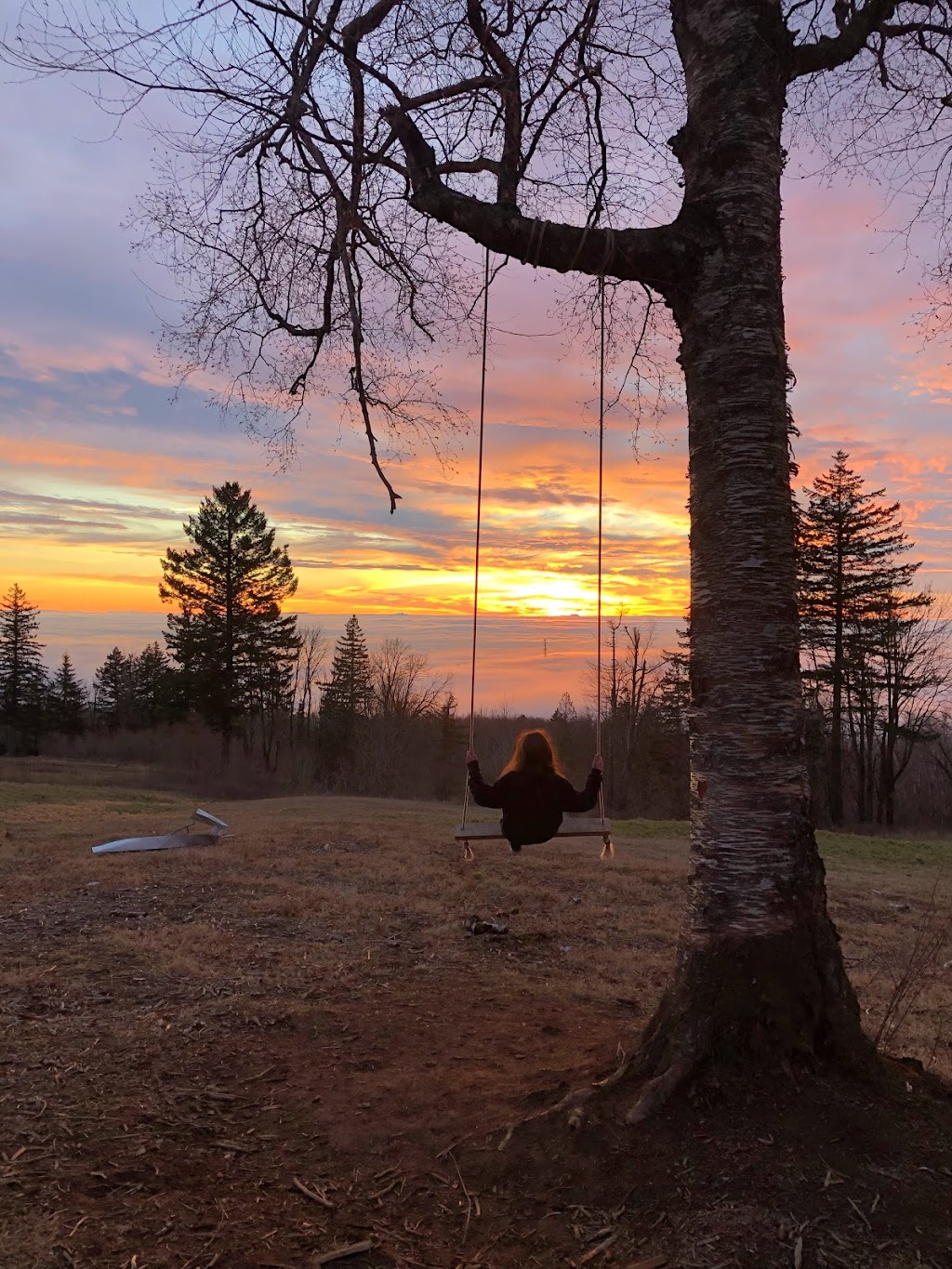 Sunset Swing | Harvest Drive, Abbotsford, BC V3G 1L2, Canada | Phone: (604) 854-0246