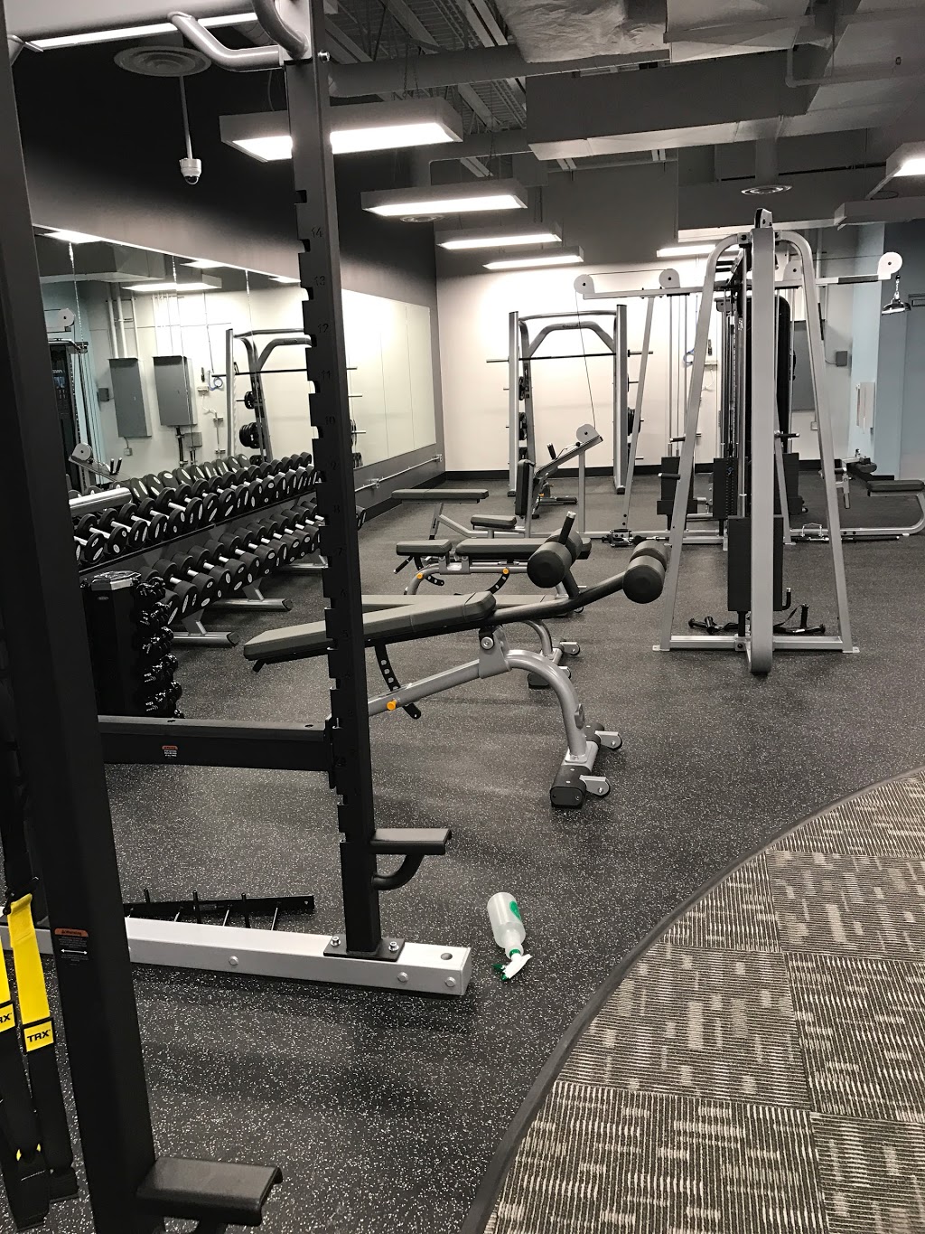 Anytime Fitness St. Vital | 540 Saint Annes Road, 3, Winnipeg, MB R2M 5R7, Canada | Phone: (204) 615-5438