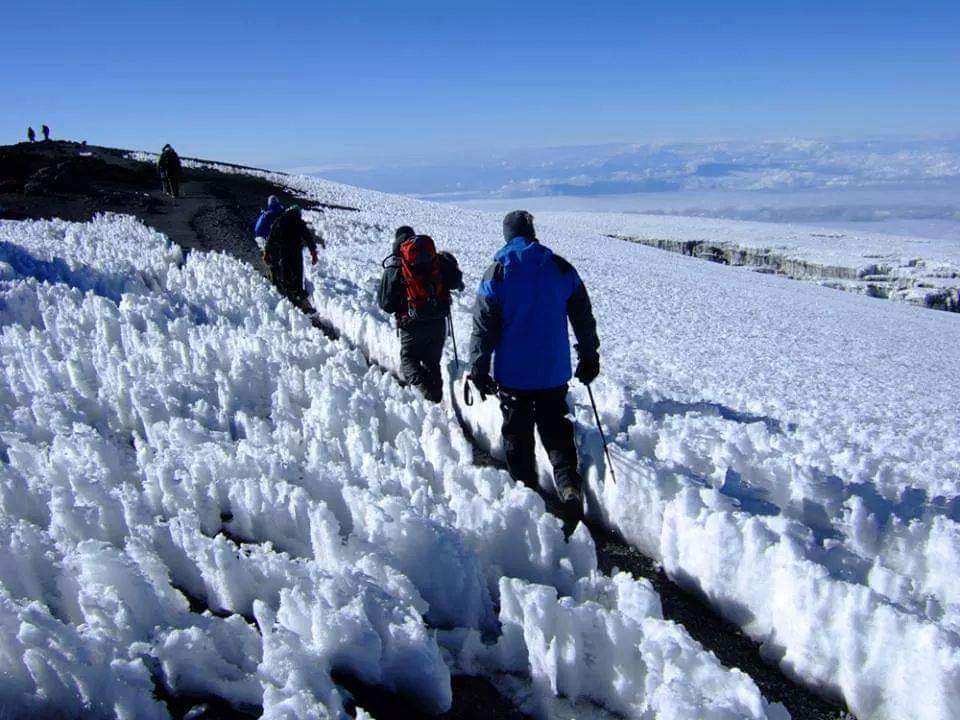 Kilimanjaro Trekking Guides | 493 Cheryl Pl, Kingston, ON K7K 0B2, Canada | Phone: (613) 929-3313