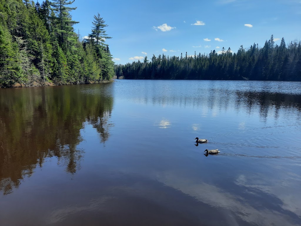 Mill Creek Reservoir and Dam | Riverview, NB E1B 0H3, Canada | Phone: (506) 387-2020