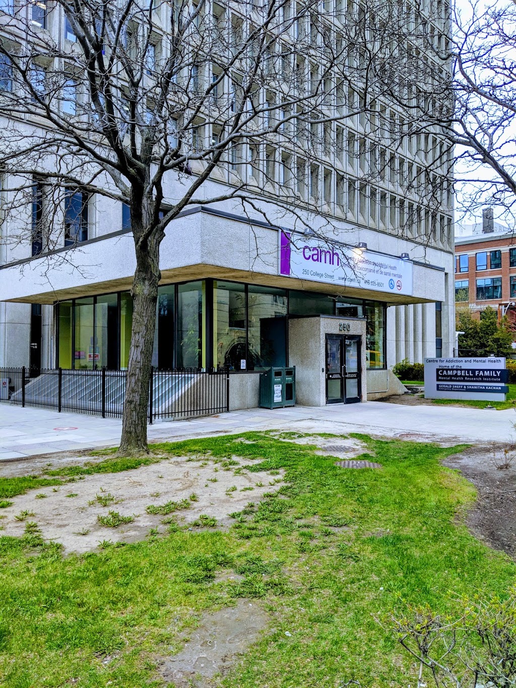 CAMH: Emergency Department | 250 College St, Toronto, ON M5T 1R8, Canada | Phone: (416) 979-6885