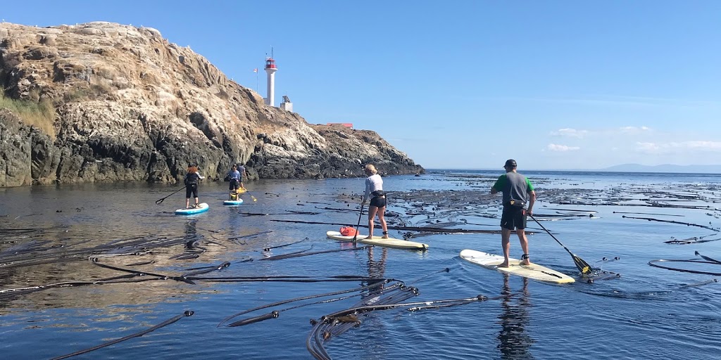 South Island SUP | 273 Richmond Ave, Victoria, BC V8S 3X9, Canada | Phone: (778) 679-1423