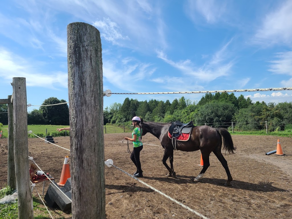 Heartland Equestrian | 9570 Duffs Rd, Ashburn, ON L0B 1A0, Canada | Phone: (905) 655-8968