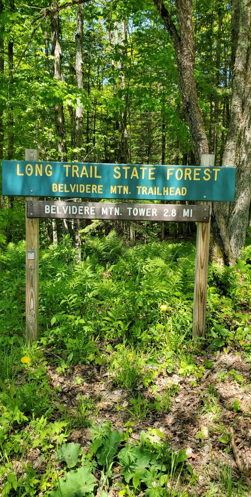 Devils Gulch | Long Trail, Eden, VT 05652, USA