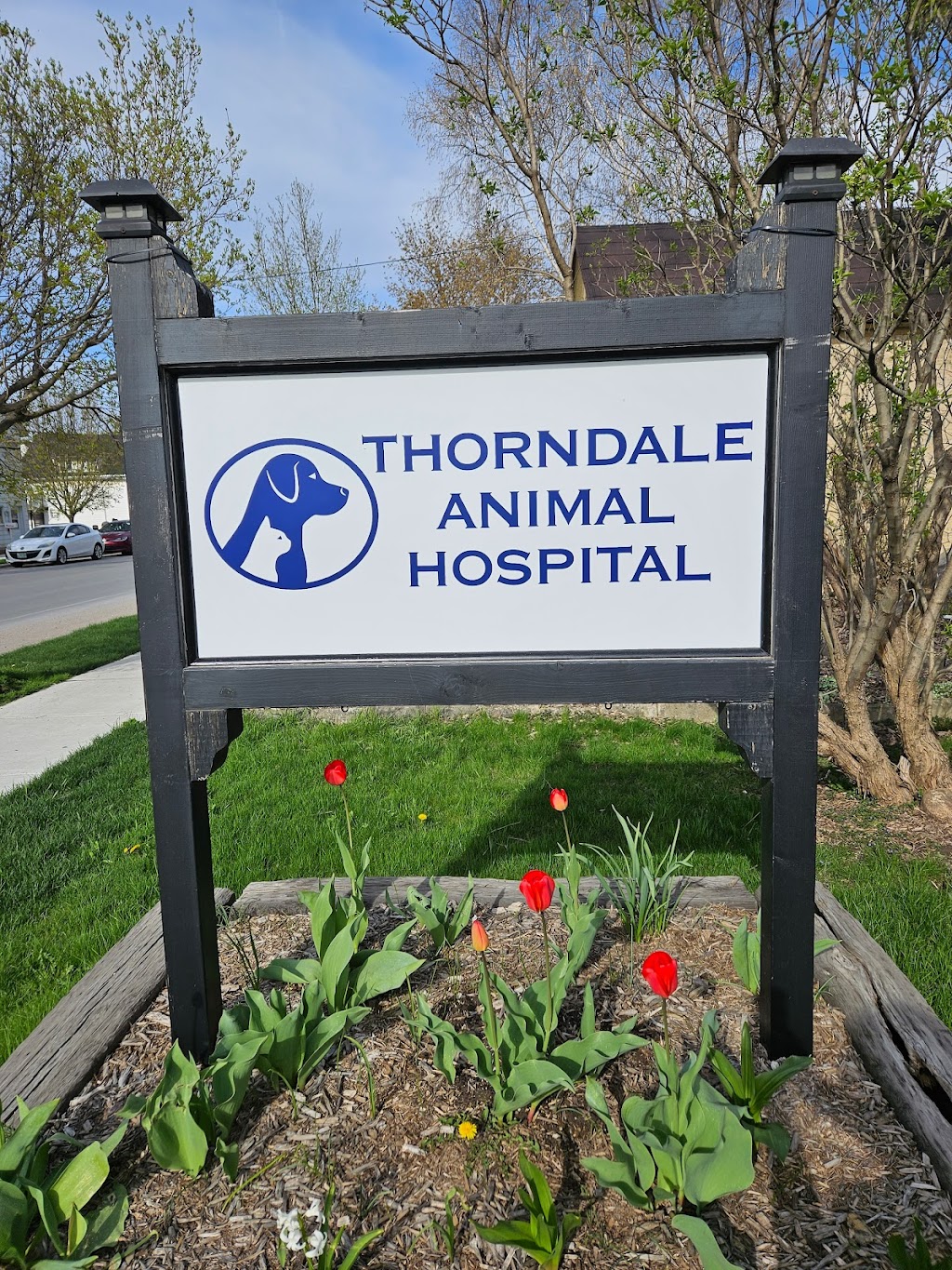 Thorndale Animal Hospital | 233 King St, Thorndale, ON N0M 2P0, Canada | Phone: (519) 433-6900