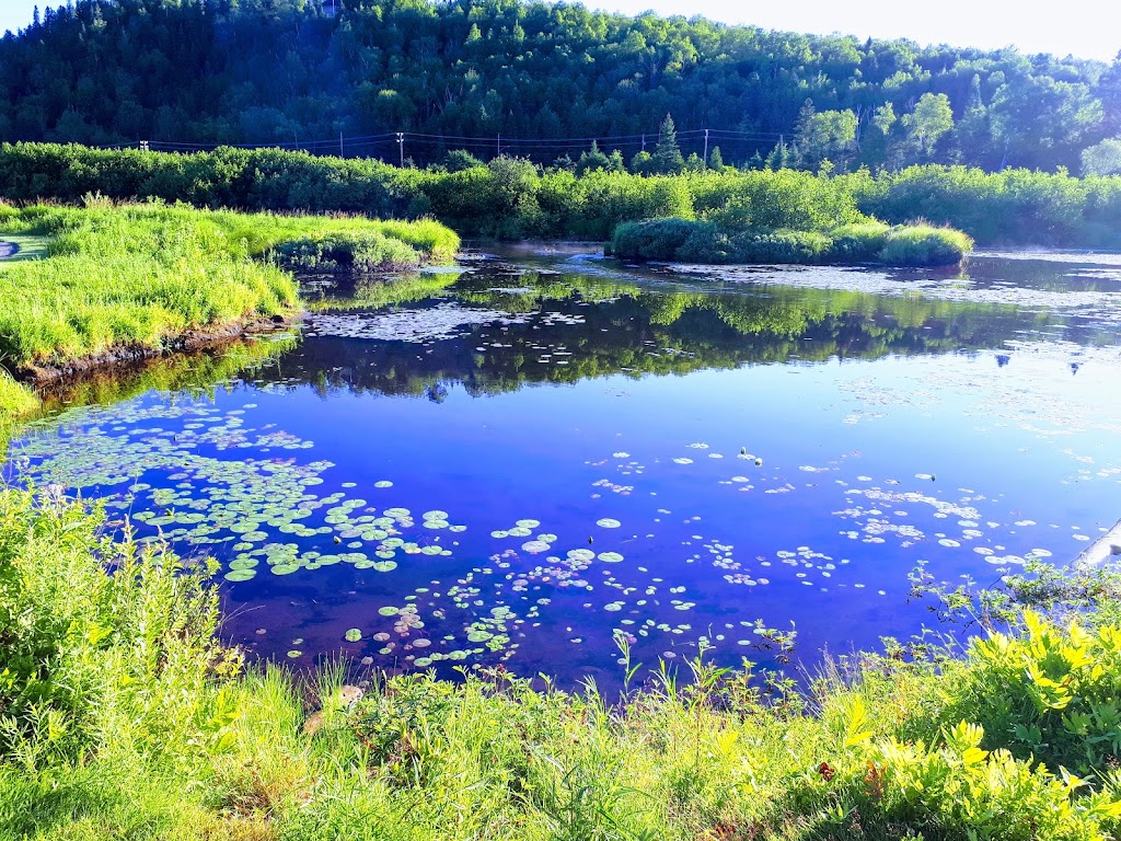 Club De Golf Chantecler Ste-Adèle Ltée | 2520 Chem. du Club, Sainte-Adèle, QC J8B 3C3, Canada | Phone: (450) 476-1339