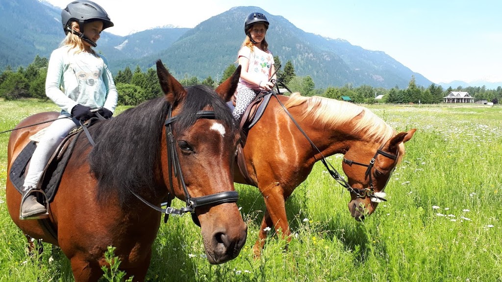 Mountain Horse School | 7370 Harrow Rd, Pemberton, BC V0N 2L0, Canada | Phone: (778) 266-0677