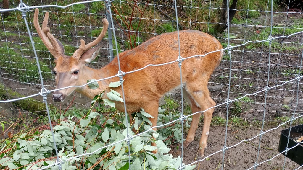 Center of Quebec Biodiversity | 1800 Avenue des Jasmins, Bécancour, QC G9H 2S2, Canada | Phone: (819) 222-5665