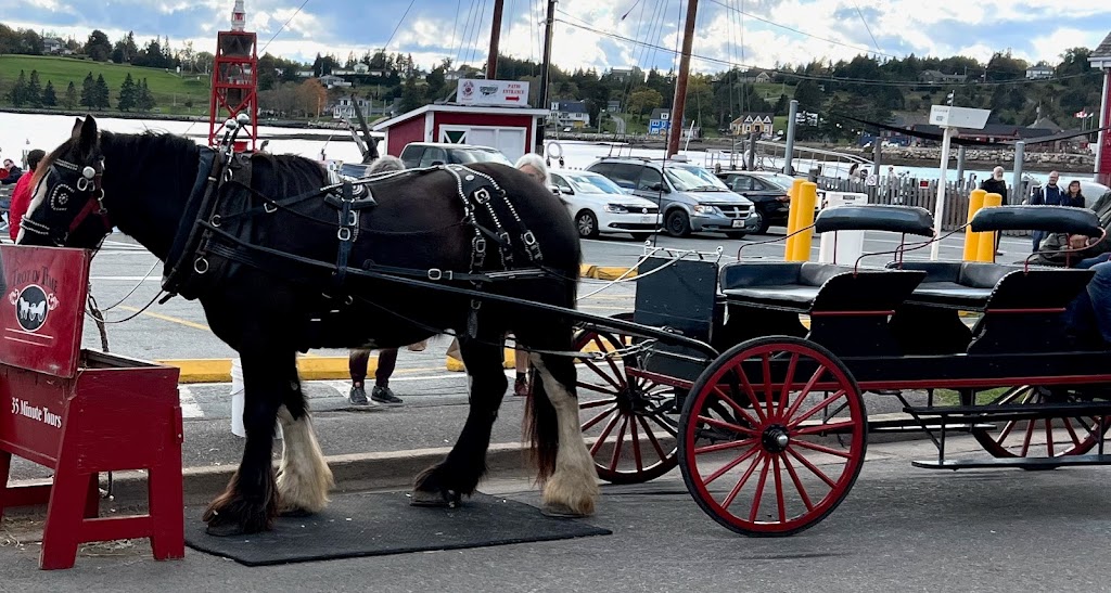 Trot in Time Carriage Tours | 72 Bluenose Dr, Lunenburg, NS B0J 2C0, Canada | Phone: (902) 298-5523