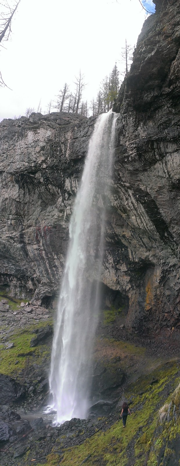 Christie Falls Trailhead | Terrace Mountain Rd, Douglas Lake, BC V0E 1S0, Canada