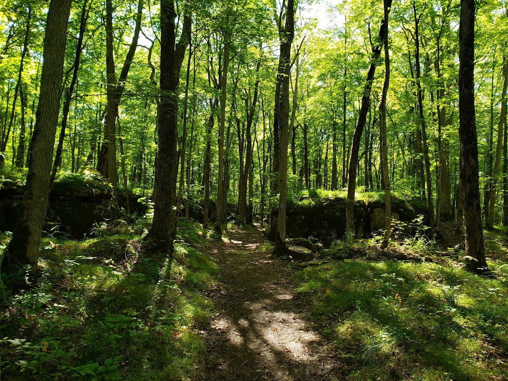 Viamede Disc Golf Course | 595 Mt Julian Viamede Rd, Woodview, ON K0L 3E0, Canada | Phone: (705) 654-3344