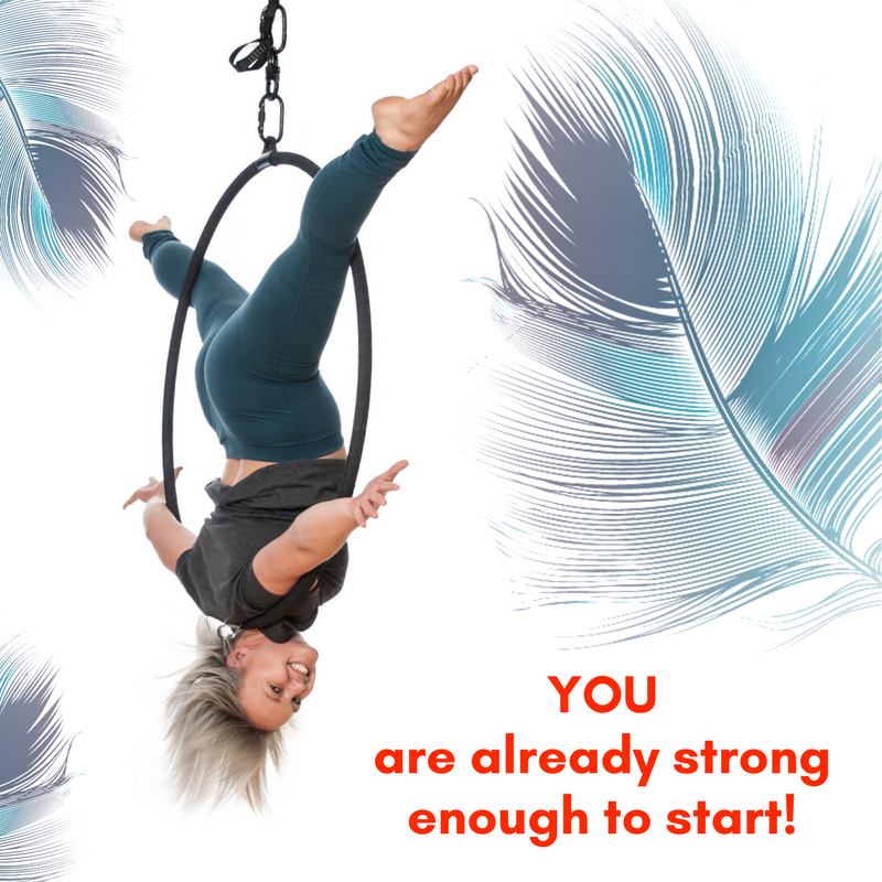 FLY Fitness & Aerial Arts | 1446 Lindsay St, Regina, SK S4N 3B6, Canada | Phone: (306) 581-7653