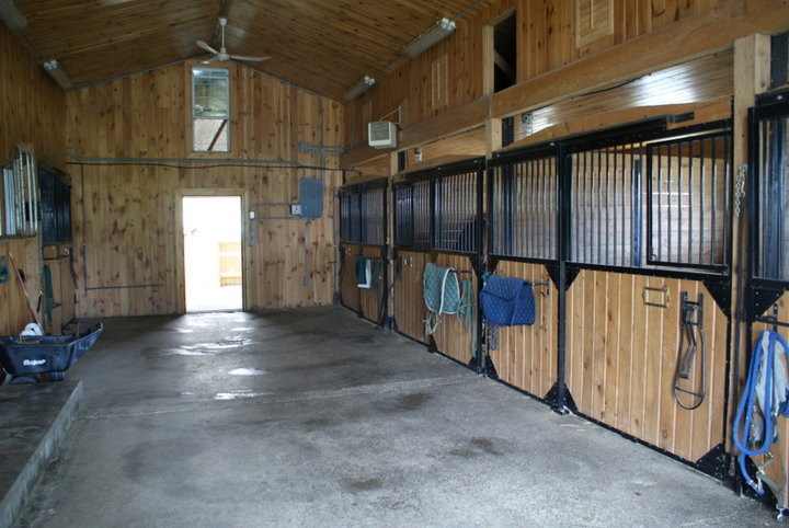 Ferme Tandem | 589 Chemin Stagecoach, Knowlton, QC J0E 1V0, Canada | Phone: (450) 243-6675