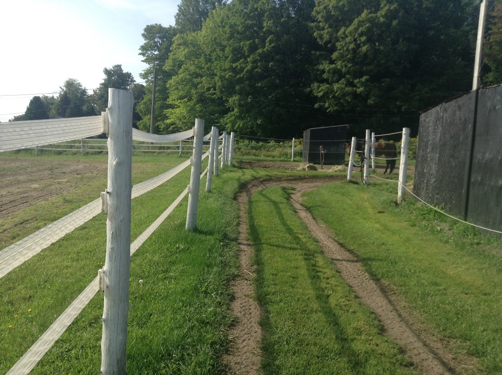 Centre Equestre La Chevalerie | 1520 Grand Rang Saint-Charles, Saint-Paul-dAbbotsford, QC J0E 1A0, Canada | Phone: (450) 379-9381