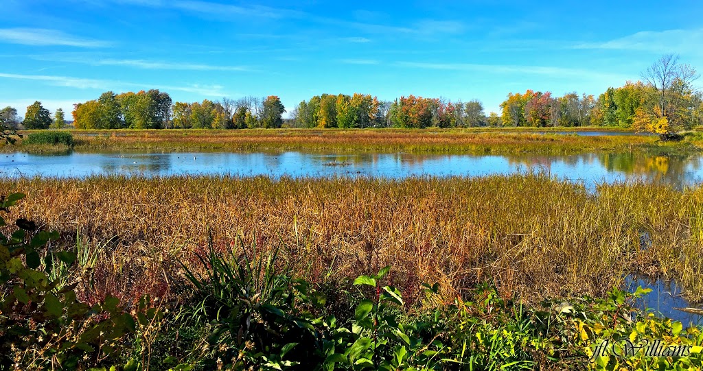 François Dupont Park | Chatelaine Village, Ottawa, ON K1E 1C8, Canada | Phone: (613) 580-2400