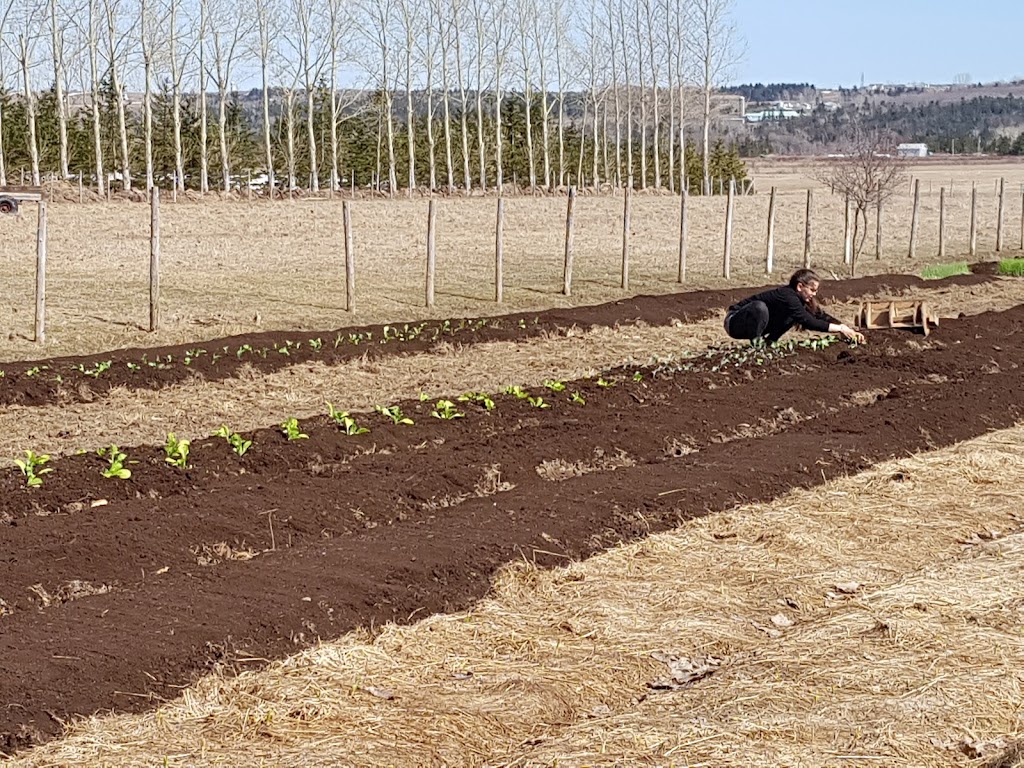 Les jardins de La Grande Ourse | 176 route 230 Ouest, La Pocatière, QC G0R 1Z0, Canada | Phone: (581) 991-6013