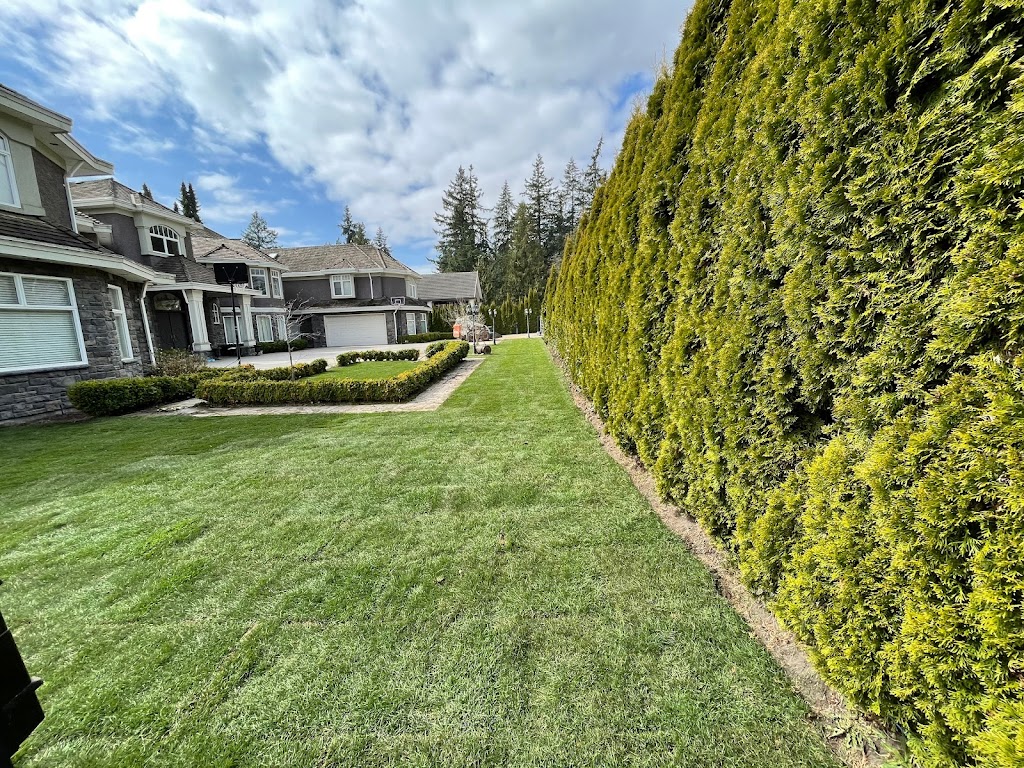 A Choice Landscaping | 3512 Summit Dr, Abbotsford, BC V2T 5S4, Canada | Phone: (604) 302-3156