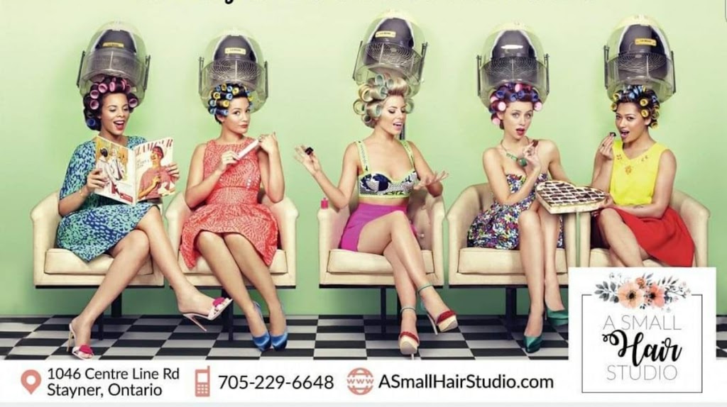 A Small Hair Studio | 1046 Centre Line Rd, Stayner, ON L0M 1S0, Canada | Phone: (705) 229-6648