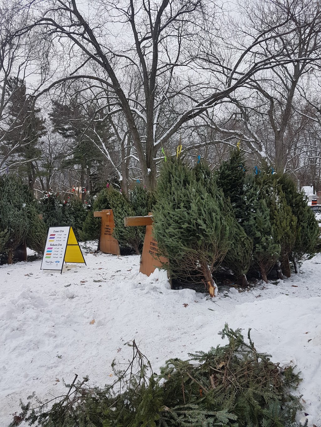 Tree Lot at St. Georges on the Hill | 4600 Dundas St W, Etobicoke, ON M9A 1A5, Canada | Phone: (416) 716-5509