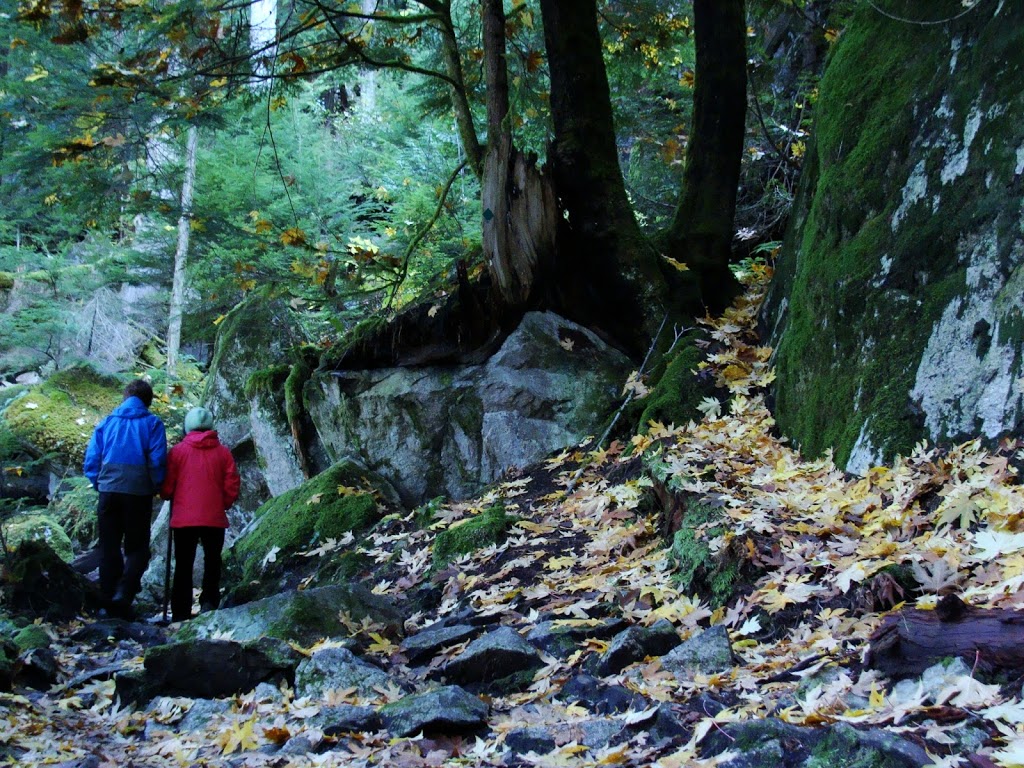 Upper Shannon Falls Trail | Squamish, BC V0N 1T0, Canada