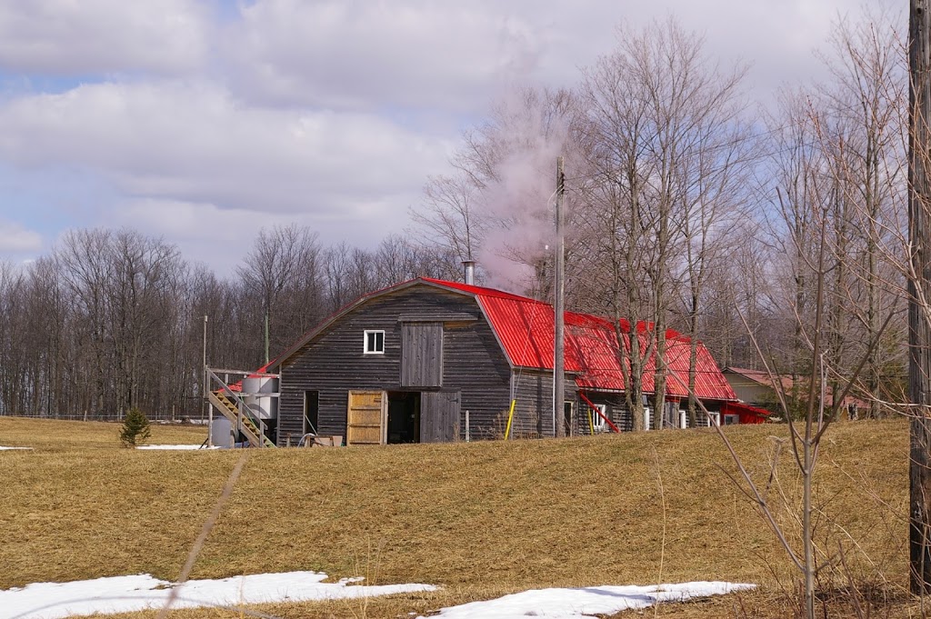 Uncle Richards Maple Syrup & Products | 493168 Glenelg Sideroad 49 #1, Priceville, ON N0C 1K0, Canada | Phone: (519) 369-3056