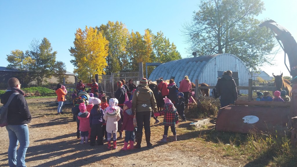 Pré-Maternelle Le Baluchon | 20 Rue Valmont, Repentigny, QC J5Y 1H1, Canada | Phone: (450) 654-0777