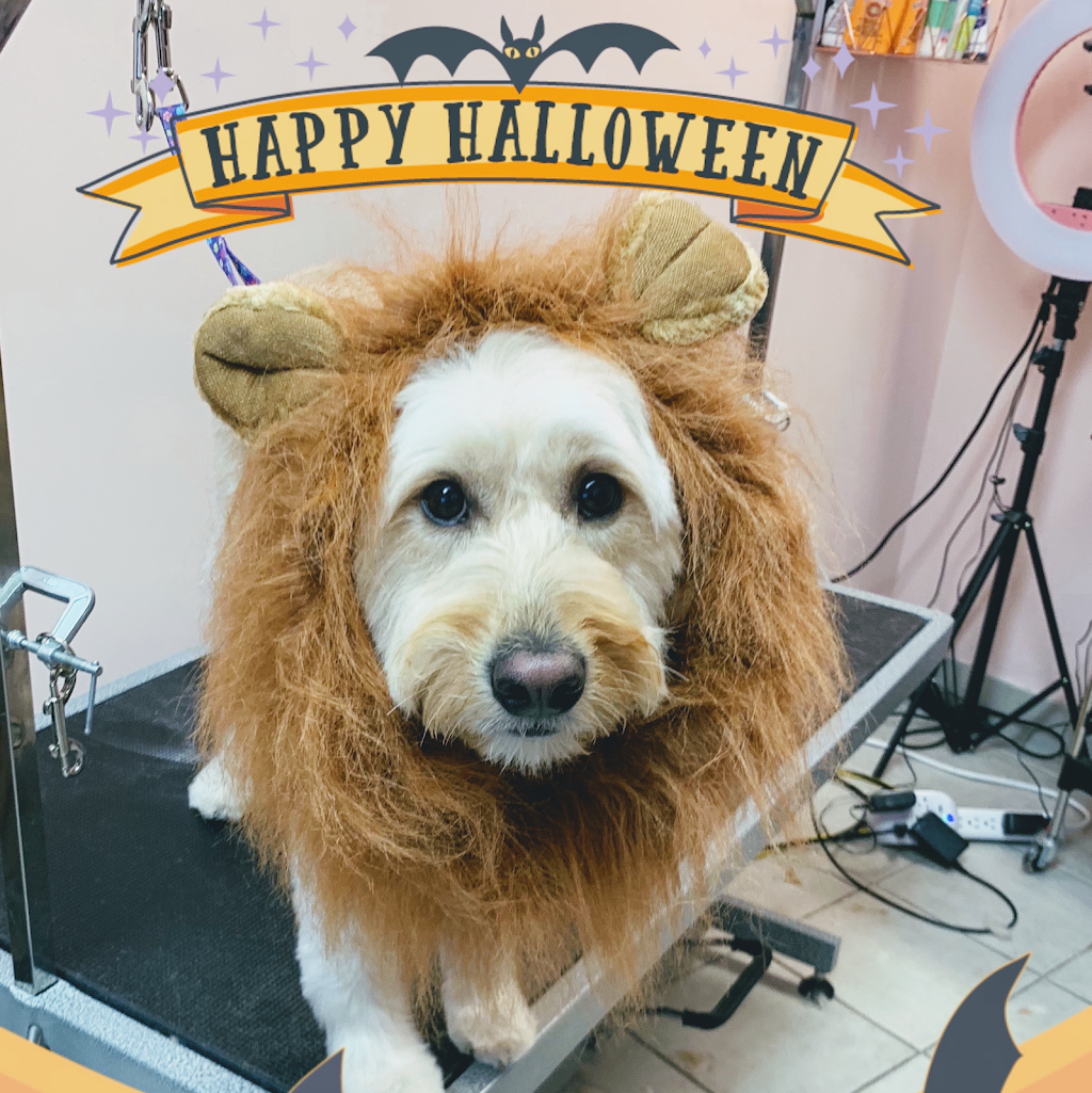 Bubble Be Be Pet Grooming Spa | 1395 Abbeywood Dr #3A, Oakville, ON L6M 3B2, Canada | Phone: (905) 827-7774