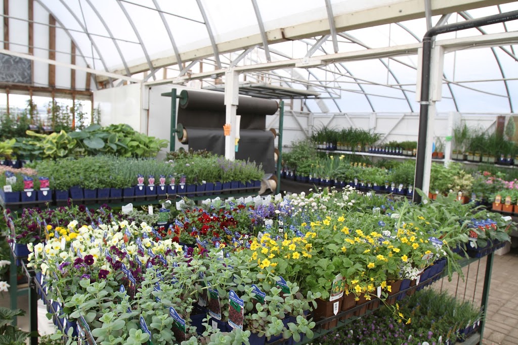 Bellavance Nursery And Landscaping | 1521 Essex County Rd 22, Belle River, ON N0R 1A0, Canada | Phone: (519) 727-5432