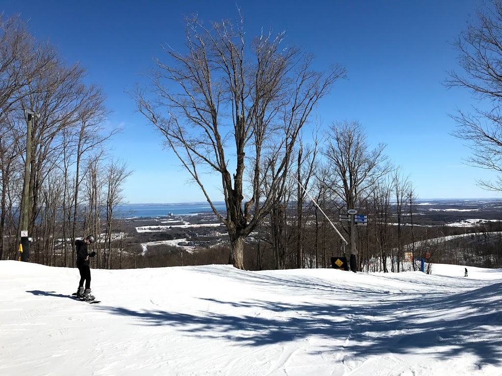 Mountaintop Segway Tours | 115 Swiss Meadows Blvd Unit AS7, Ravenna, ON N0H 2E0, Canada | Phone: (833) 583-2583