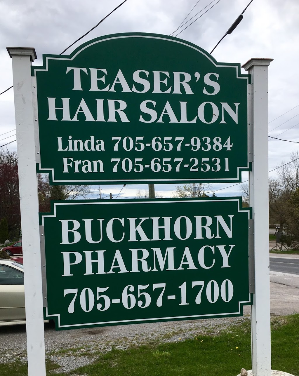 Teasers family hair care salon | 1915 Lakehurst Rd, Buckhorn, ON K0L 1J0, Canada | Phone: (705) 657-9384