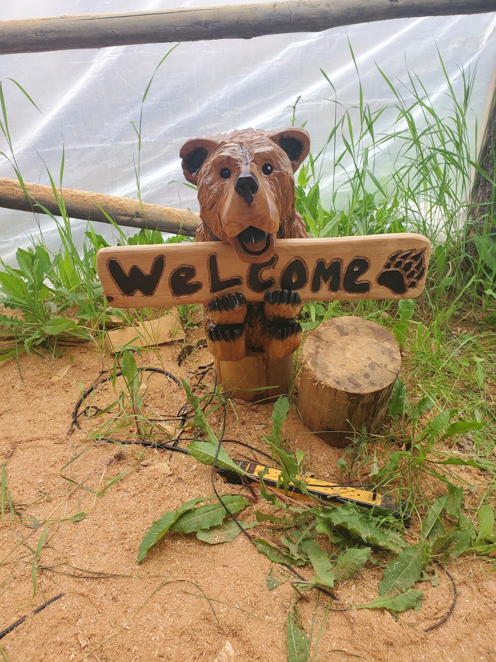 The Friendly Bear Chainsaw Carvings | Crowsnest Hwy, Yahk, BC V0B 2P0, Canada | Phone: (250) 977-5557