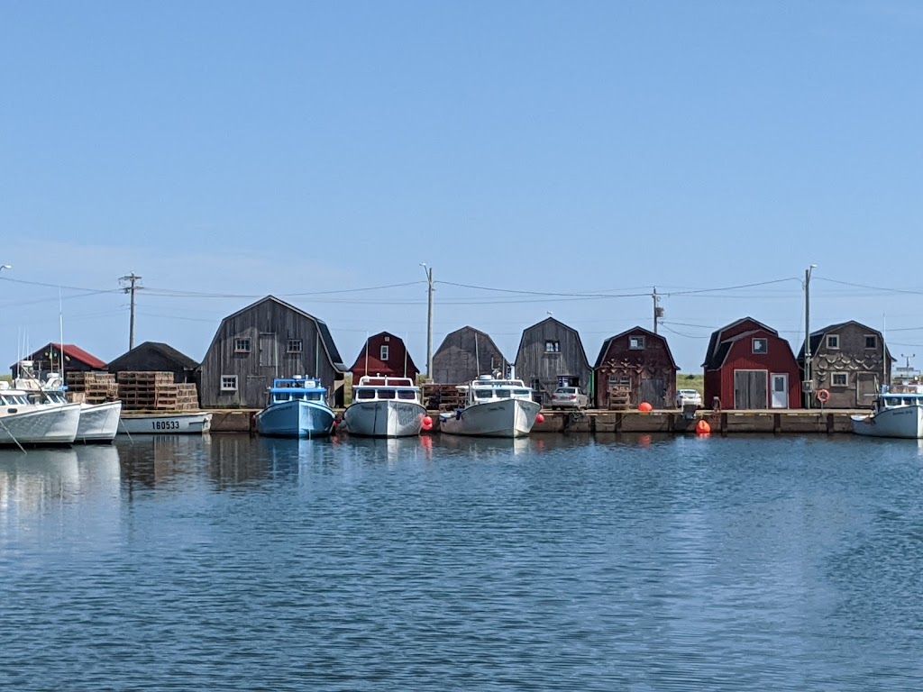 Cabot Fishermens Co-op Assoc | Malpeque Wharf Rd, Kensington, PE C0B 1M0, Canada | Phone: (902) 836-3062