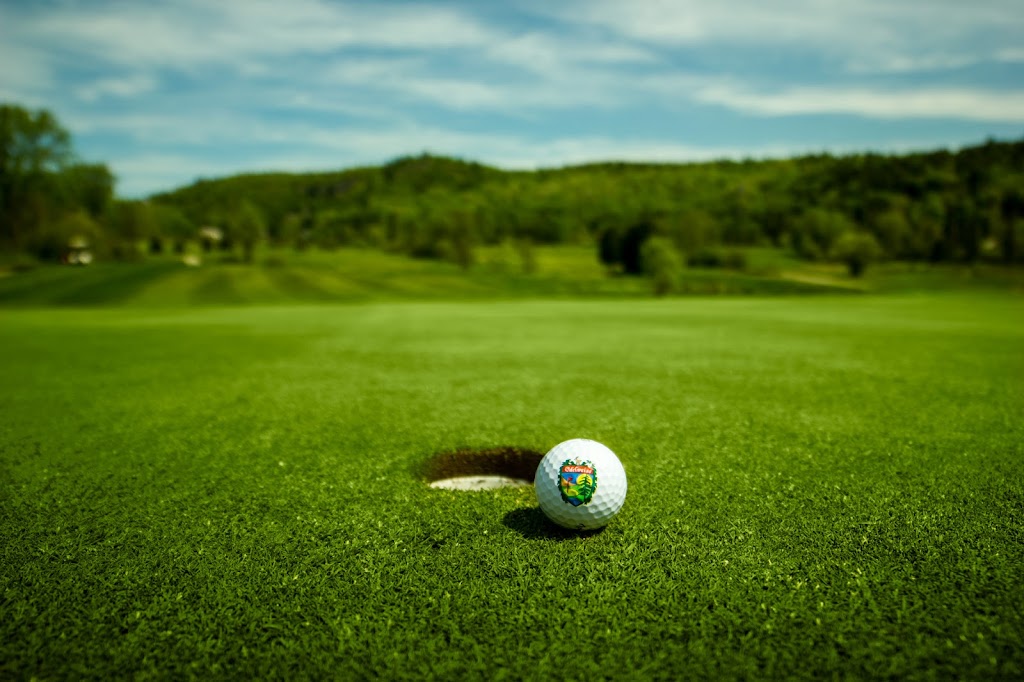 Golf Edelweiss | 465 Ch Edelweiss, Wakefield, QC J0X 3G0, Canada | Phone: (819) 459-2331