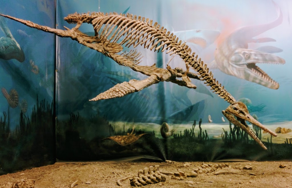 Canadian Fossil Discovery Centre | 111 Gilmour St B, Morden, MB R6M 1N9, Canada | Phone: (204) 822-3406