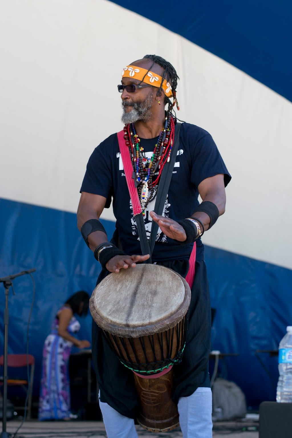 9th Annual Afro Carib Fest | Thompson Park, 1005 Brimley Rd, Scarborough, ON M1P 3E9, Canada | Phone: (416) 345-1613