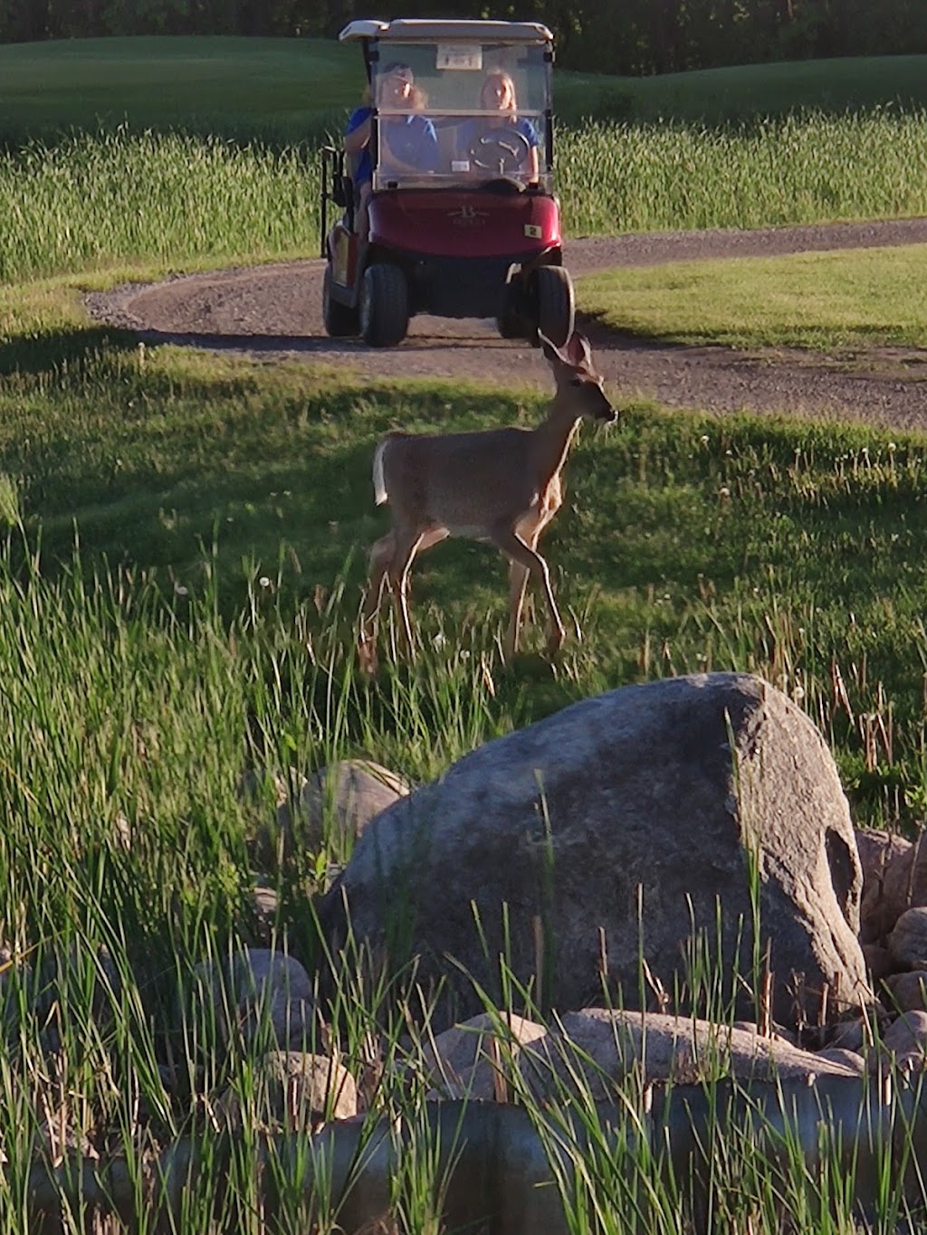 Bridges Golf Course | 10 River Rd, Starbuck, MB R0G 2P0, Canada | Phone: (204) 735-3000