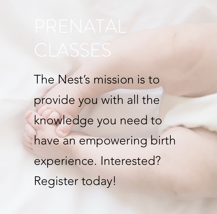 The Nest Prenatal Classes | 370 Av. Touzin, Dorval, QC H4V 2N2, Canada | Phone: (514) 913-1818
