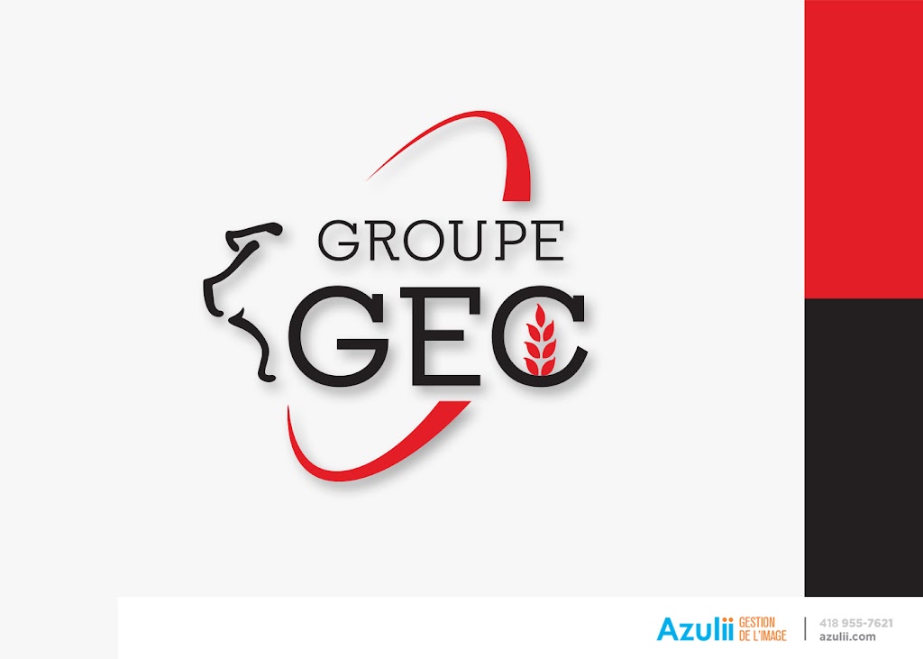 Azulii gestion de limage | 2059 Chem. de Saint-Romain, Saint-Jean-Chrysostome, QC G6Z 2L2, Canada | Phone: (418) 955-7621