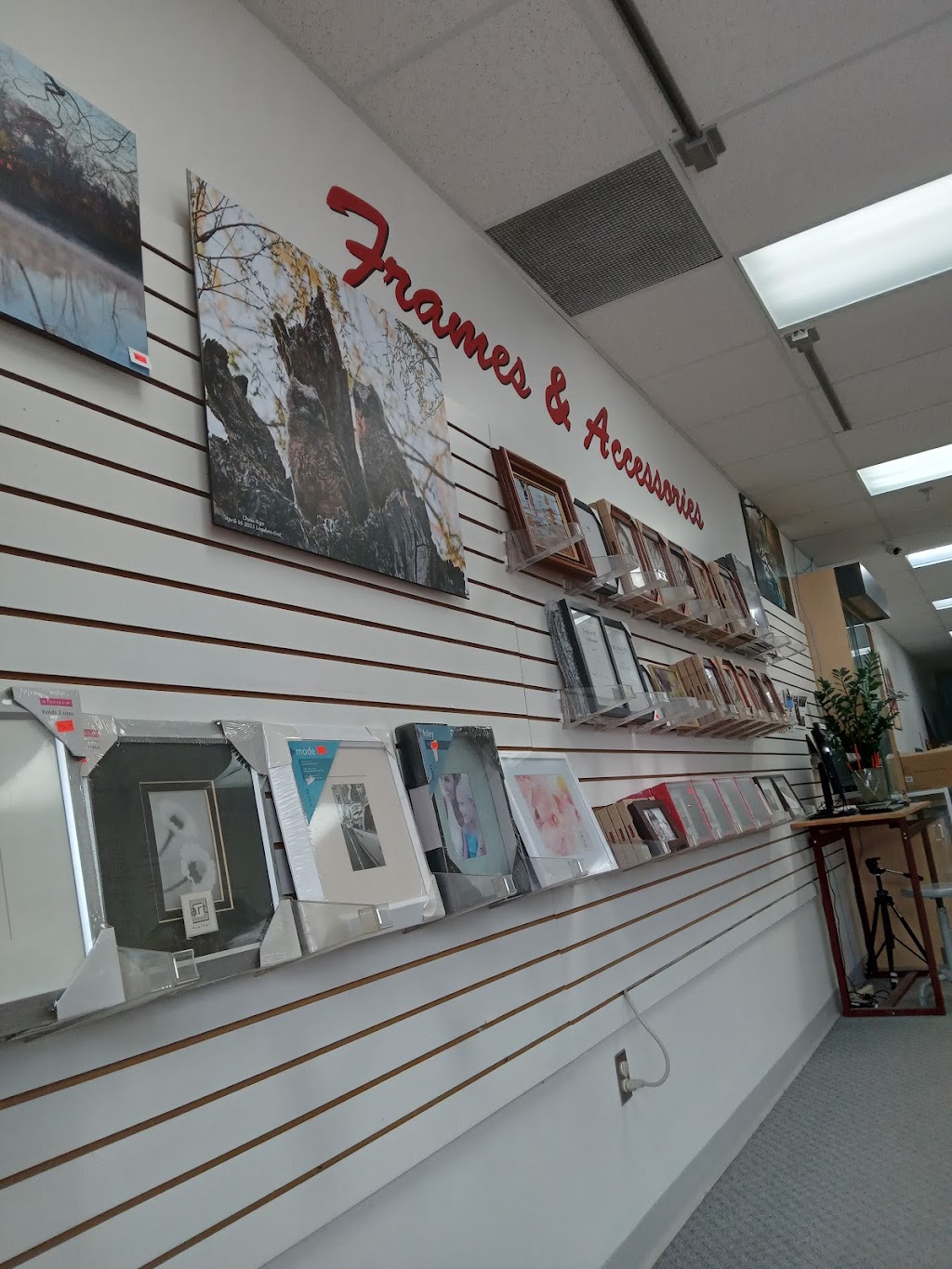 Fast Photo | 1141 Highbury Ave N, London, ON N5Y 1A5, Canada | Phone: (519) 455-3522