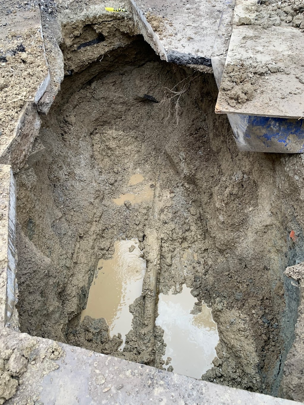 SB Excavation | 19 Albani St, Toronto, ON M8V 1X3, Canada | Phone: (647) 514-1900